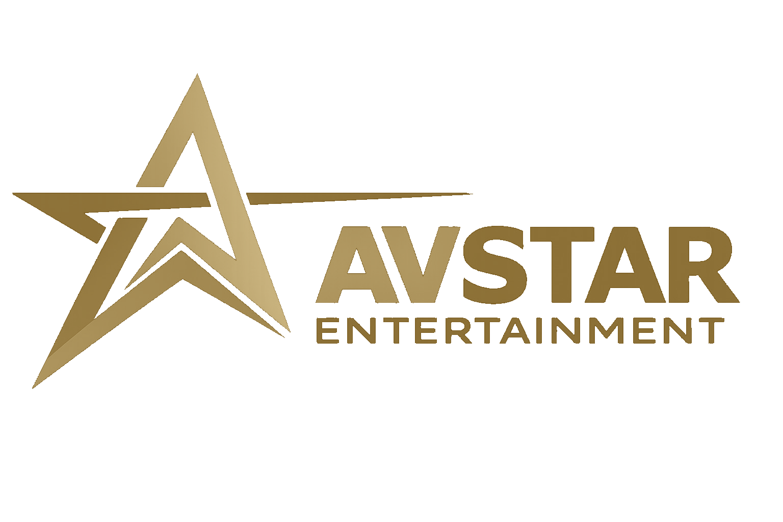 AV Star Entertainment - Destination Wedding Planner Delhi NCR